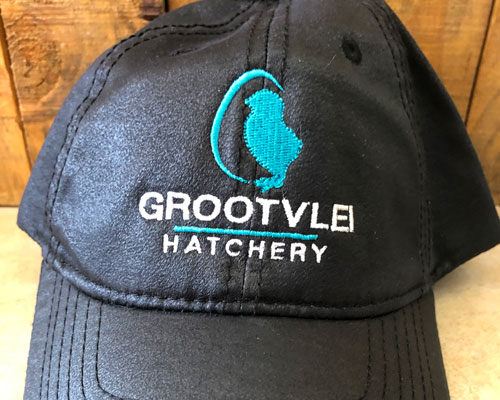 Grootvlei