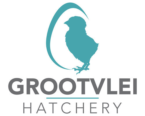 Grootvlei