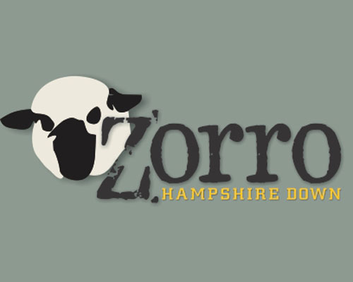 Zorro