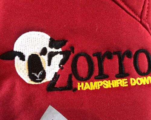 Zorro